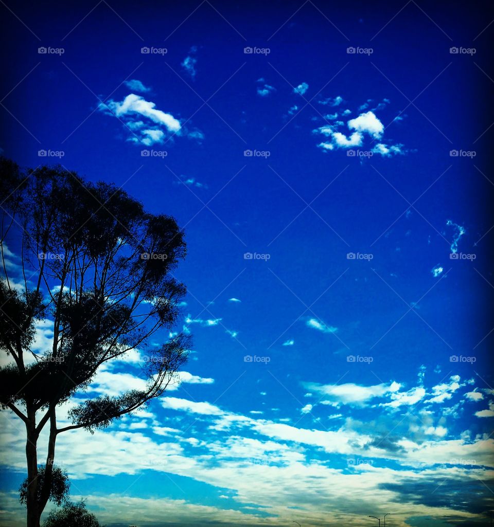 Orange County Sky 