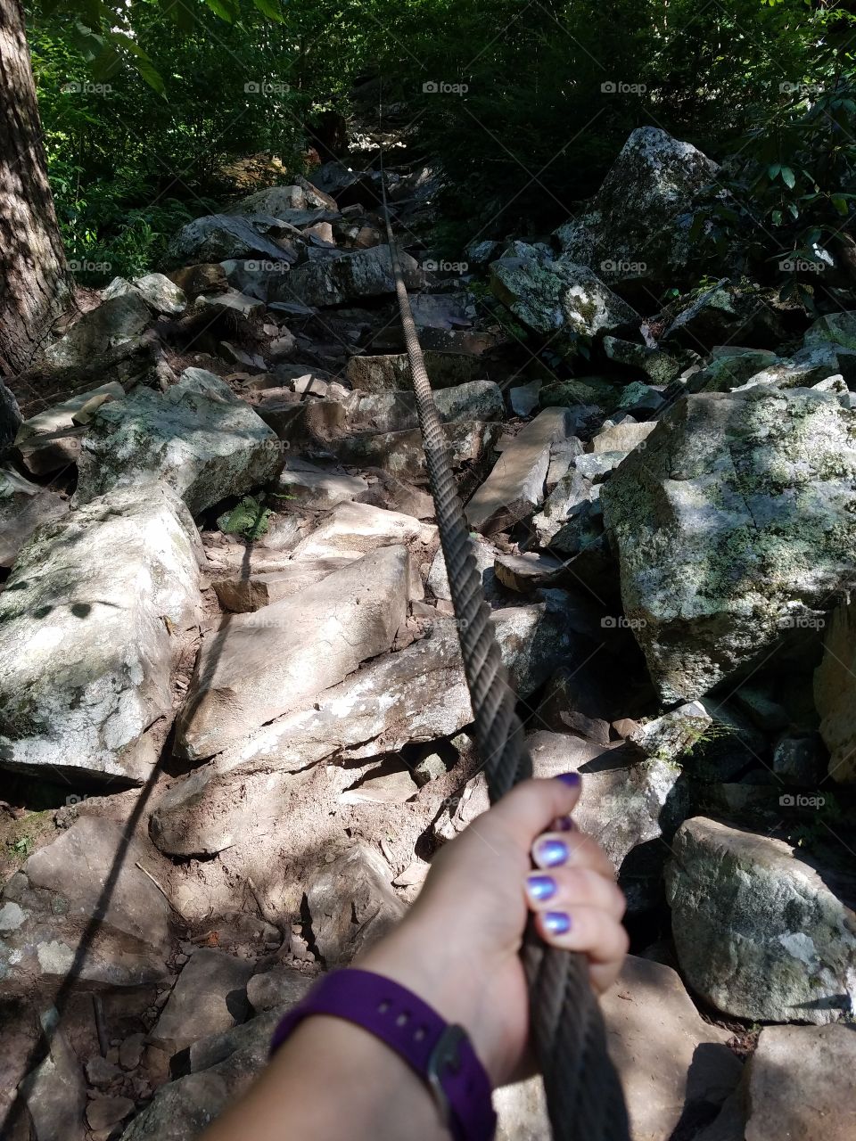 climbing up a cable trail