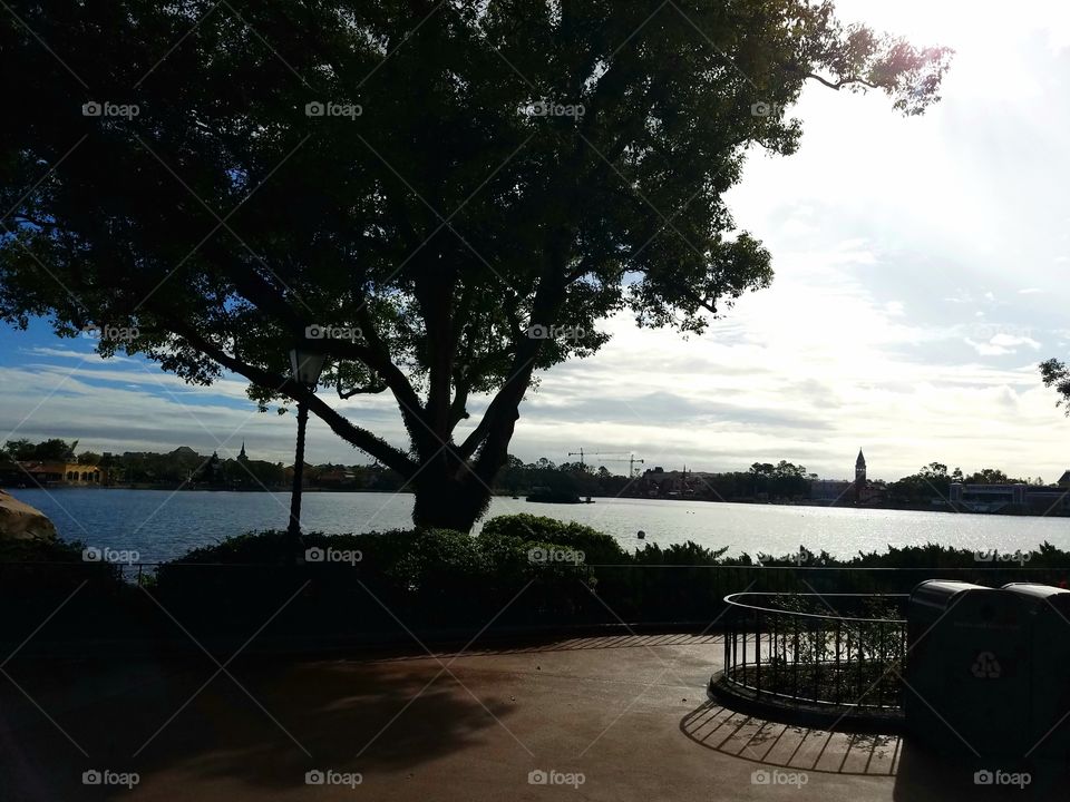 Tree, Landscape, Water, No Person, Lake