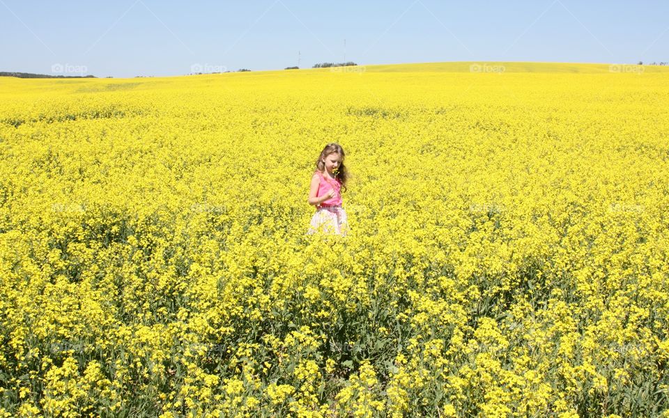 Girl in canola fields - a sea of yellow.