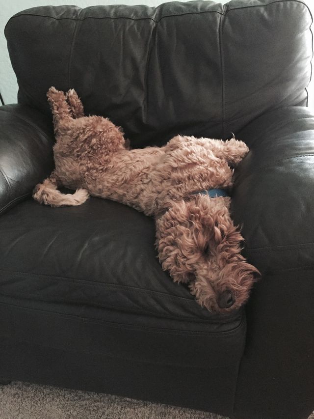 Flopped