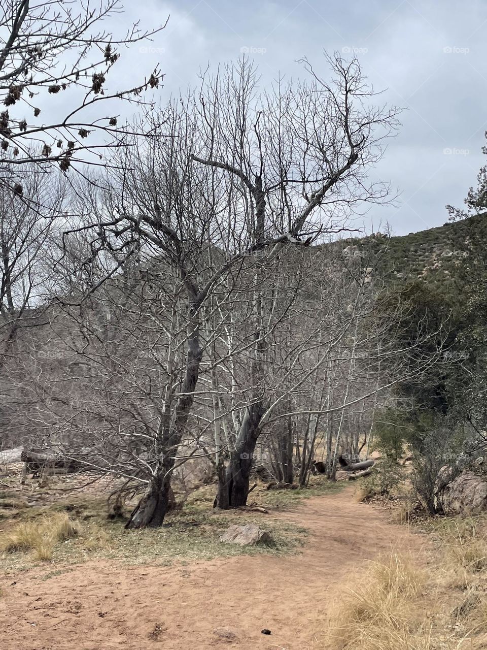 Beautiful colors sheds and serenity.