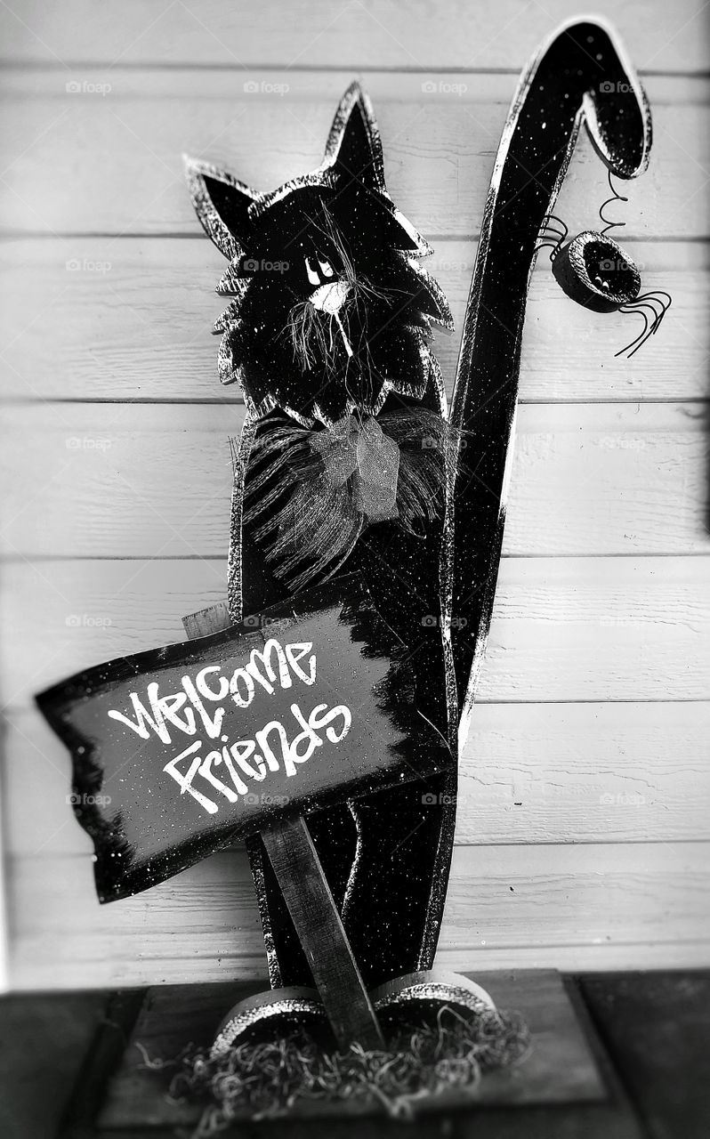 Black Cat & Spider wooden Welcome Friends Halloween Home