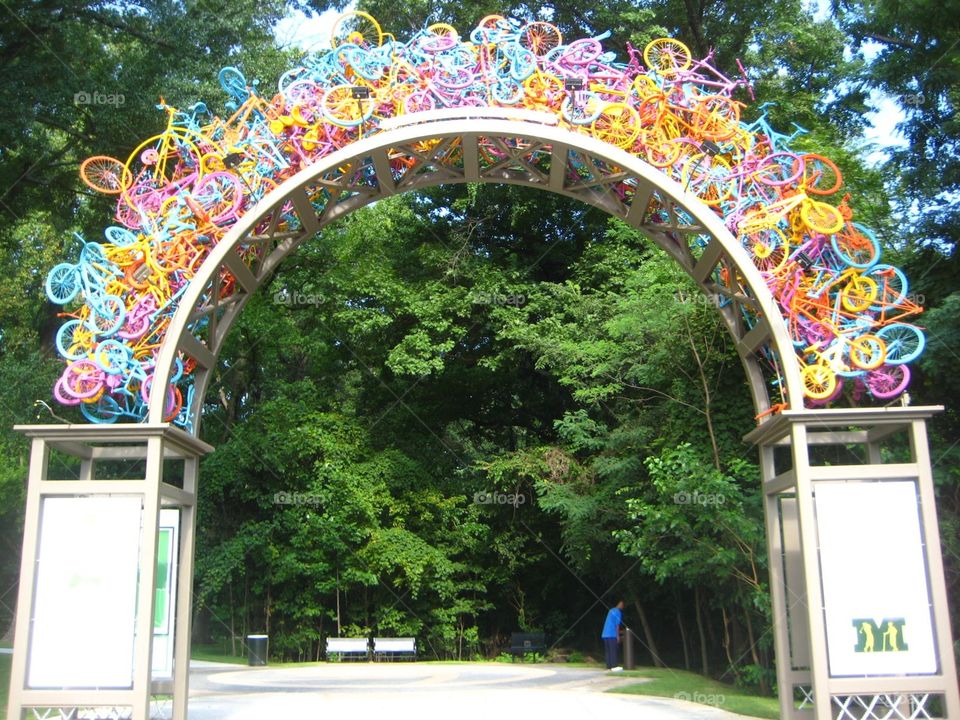 Bicycle Art Overton Park Memphis