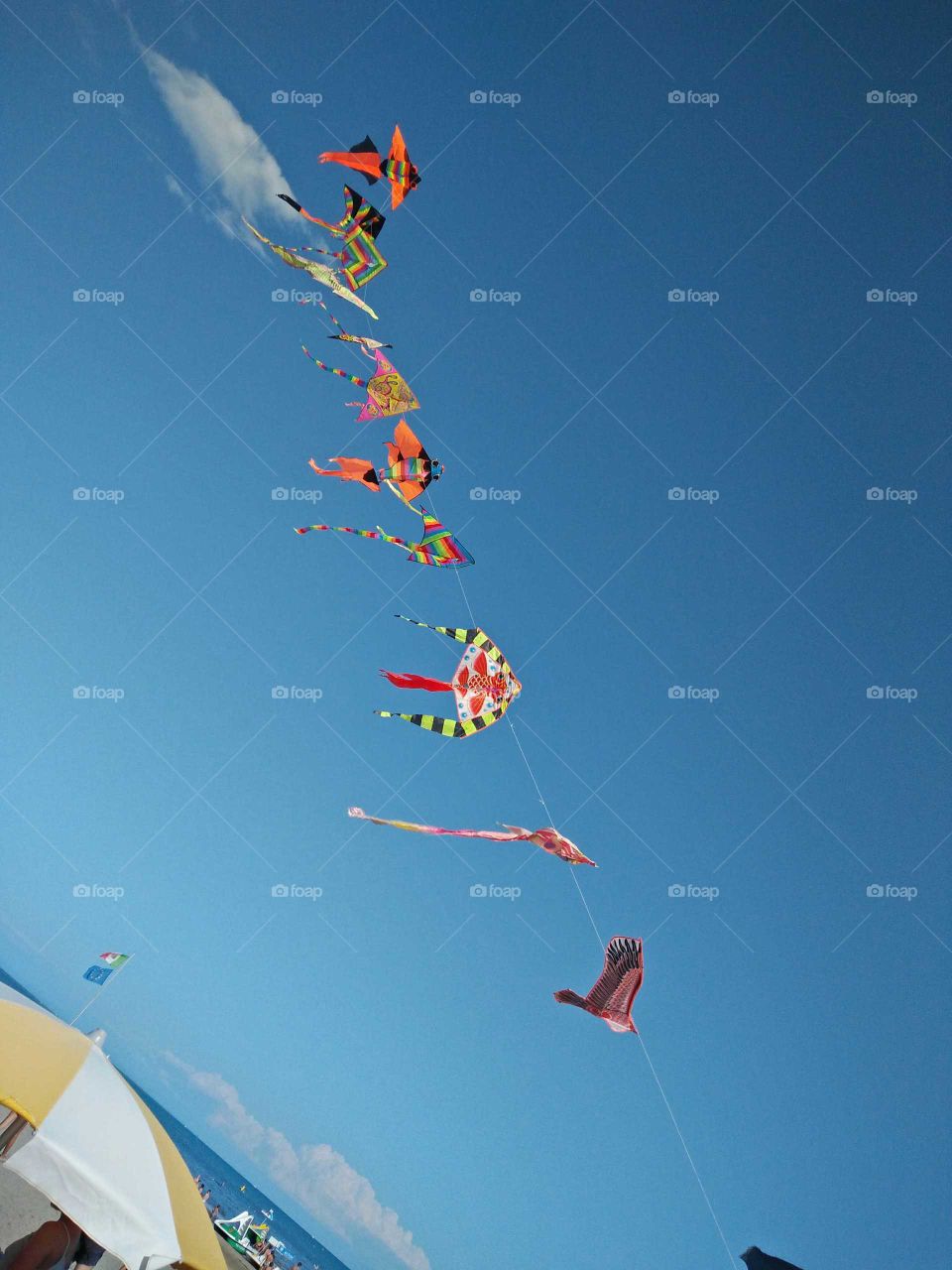 Kites flying in the blue sky