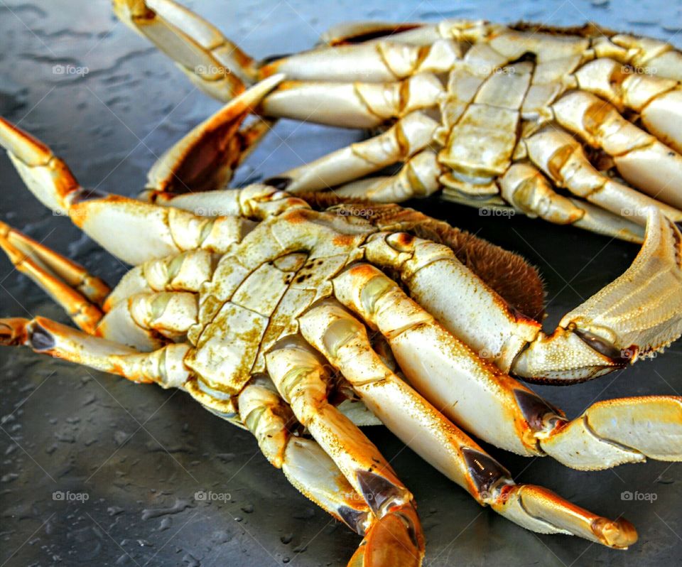 California fresh seafood