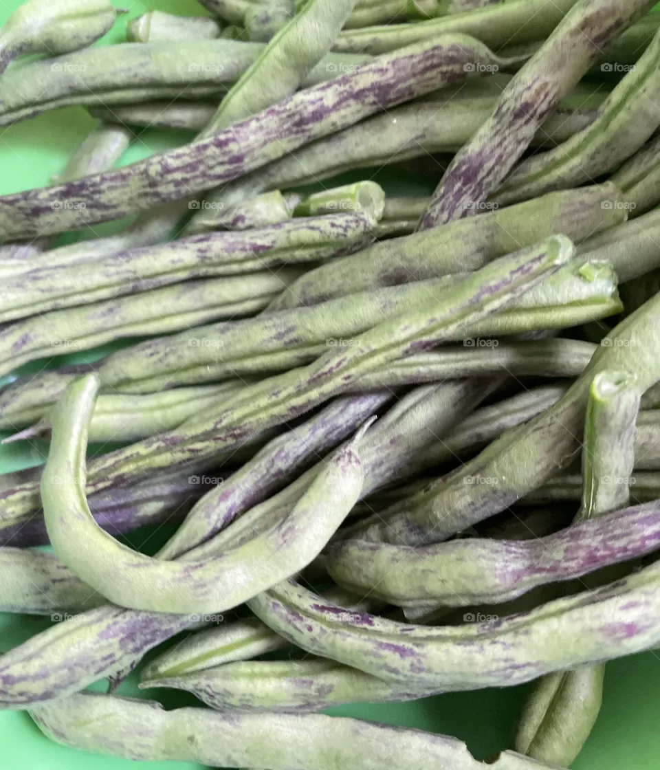 Garden Fresh Green Beans 