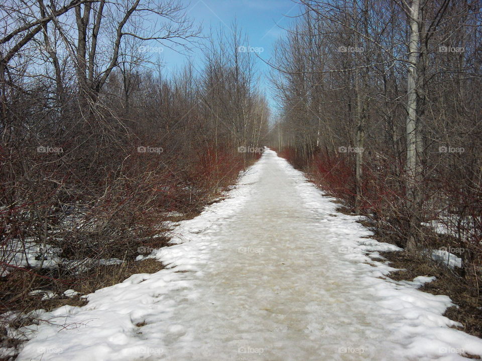 lions den path