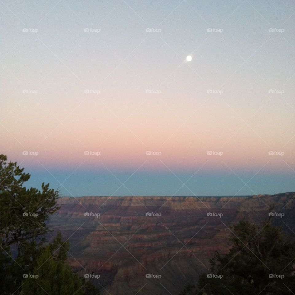 Grand Canyon vacation 