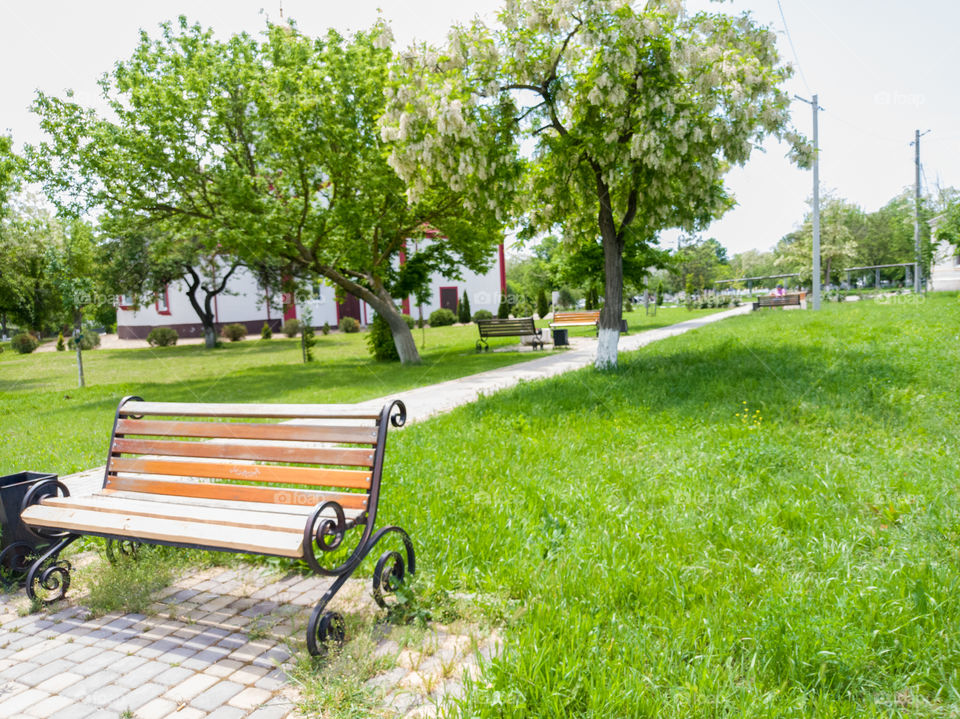 A park in the village. The temple is hidden behind trees. Sunny day. Trees.