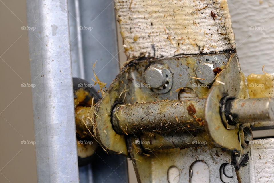 Some pictures are unique, just cause