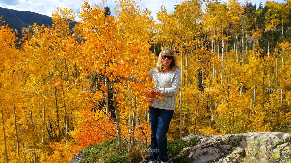 Autumn   in Colorado