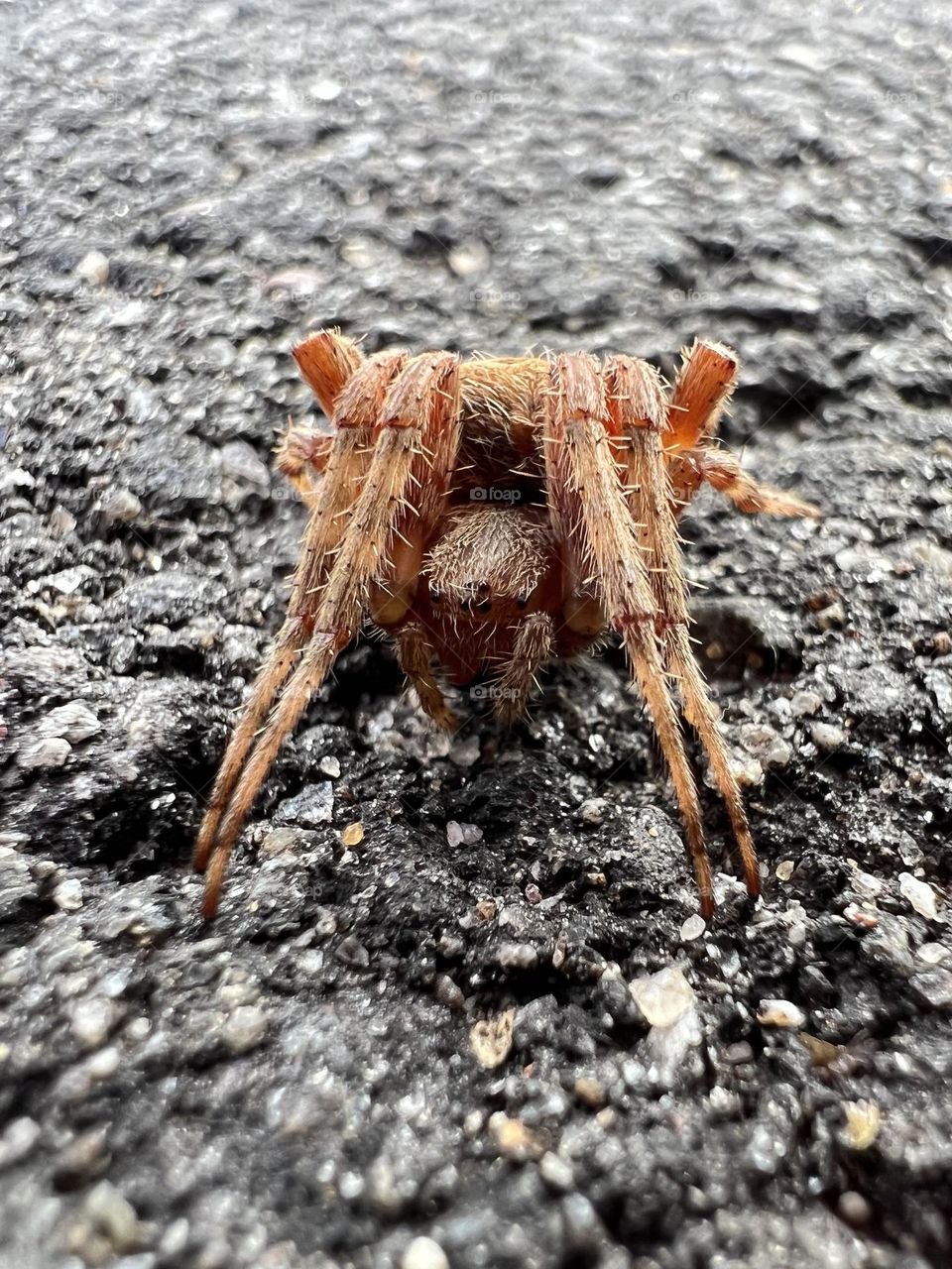 Nothing like walking through this dudes web!😫