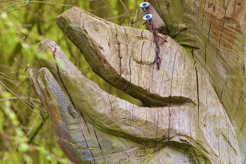 Wood Dino