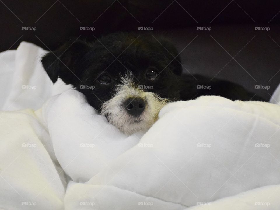 A Black & White Color Photo