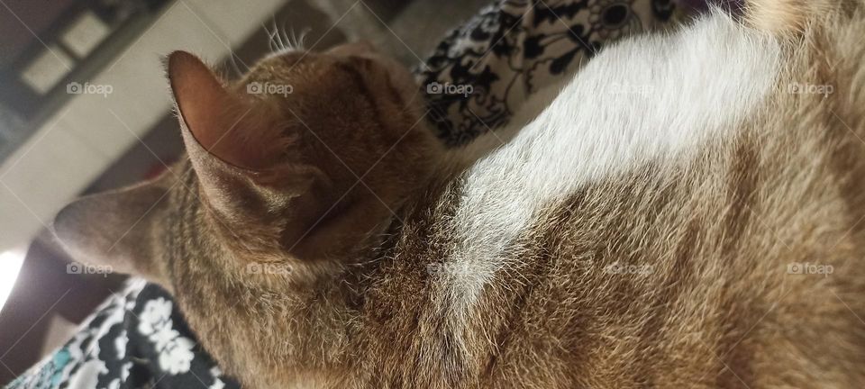 concentration is important in life as you need to concentrate and keep on moving to achieve your goals