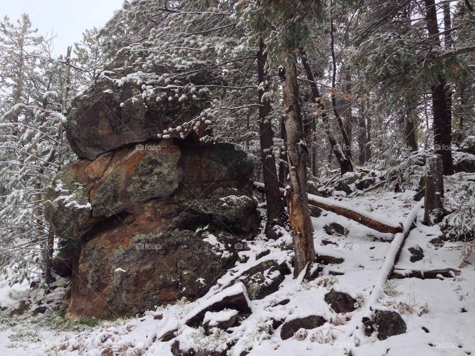 Snow dusted trail