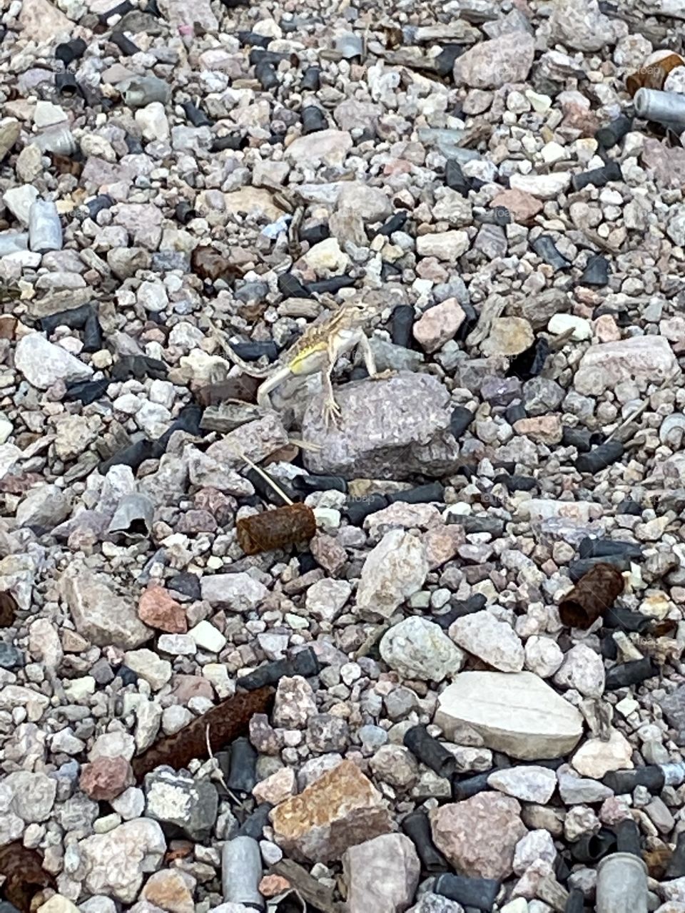 Take a picture before I change my mind 