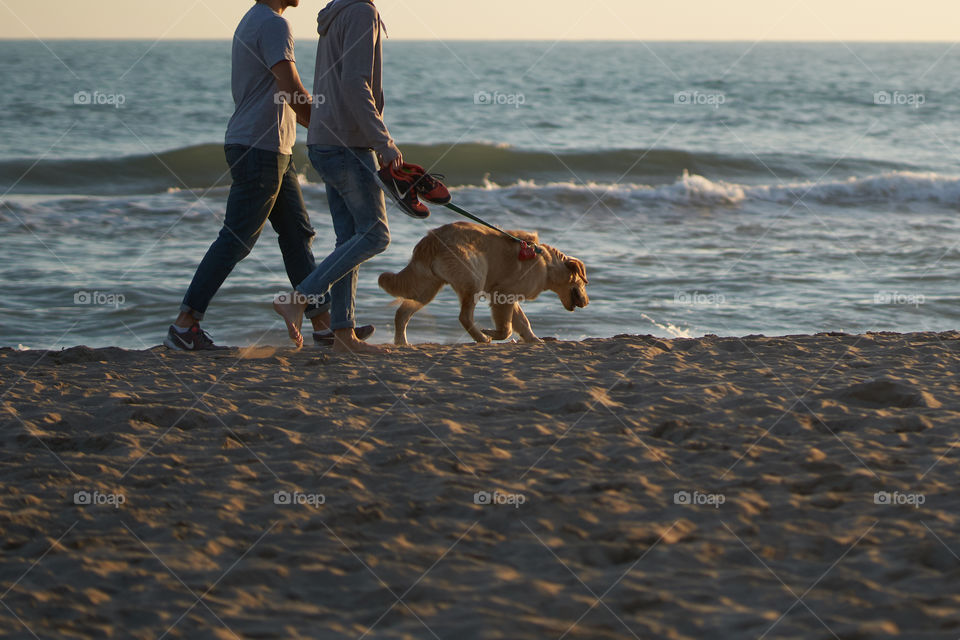 Walking at the seaside 