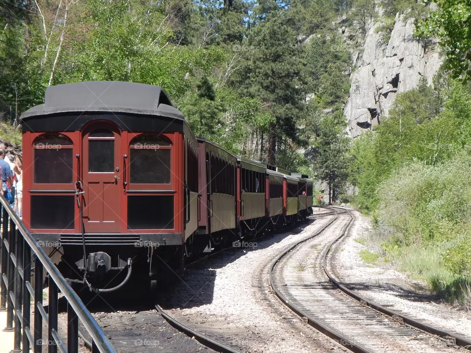 Train