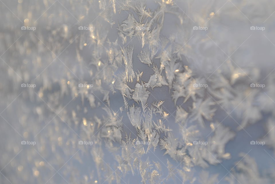 The frost on the glass