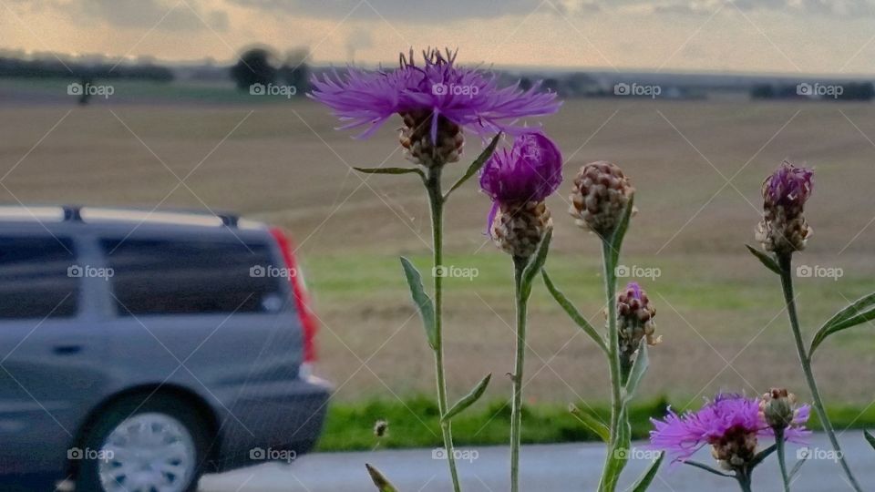on the country side. This is Trelleborg, in Sweden. A car driving by 