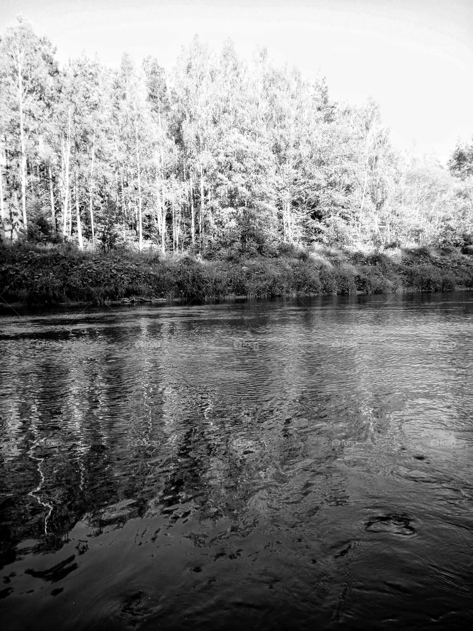 Black & White. Nature. Power. Silence.