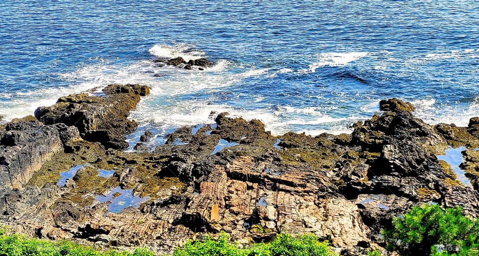 rocky shores