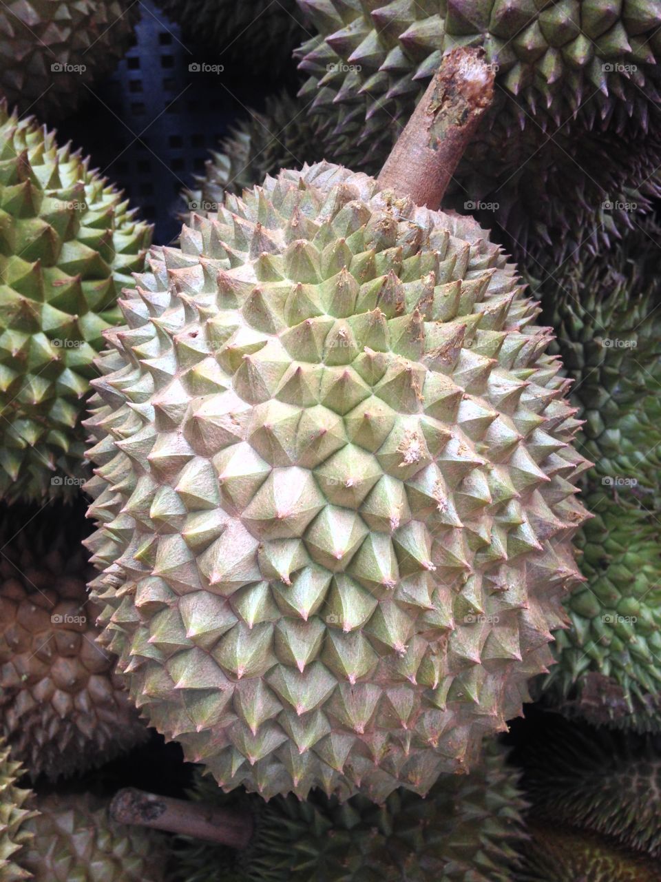 Durian. The king of fruits - durian