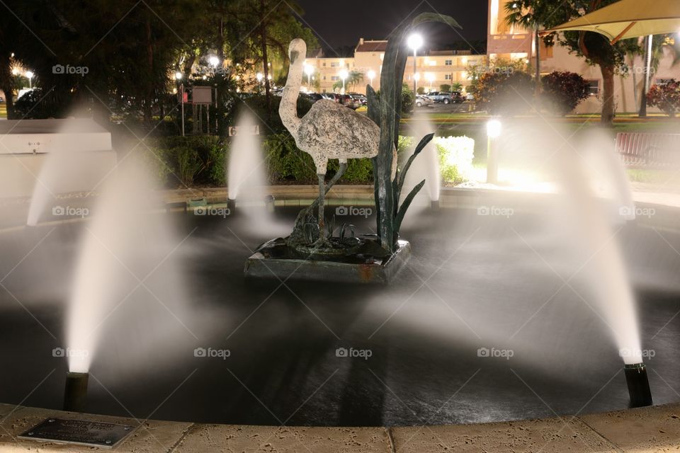 Water Fountain Nights