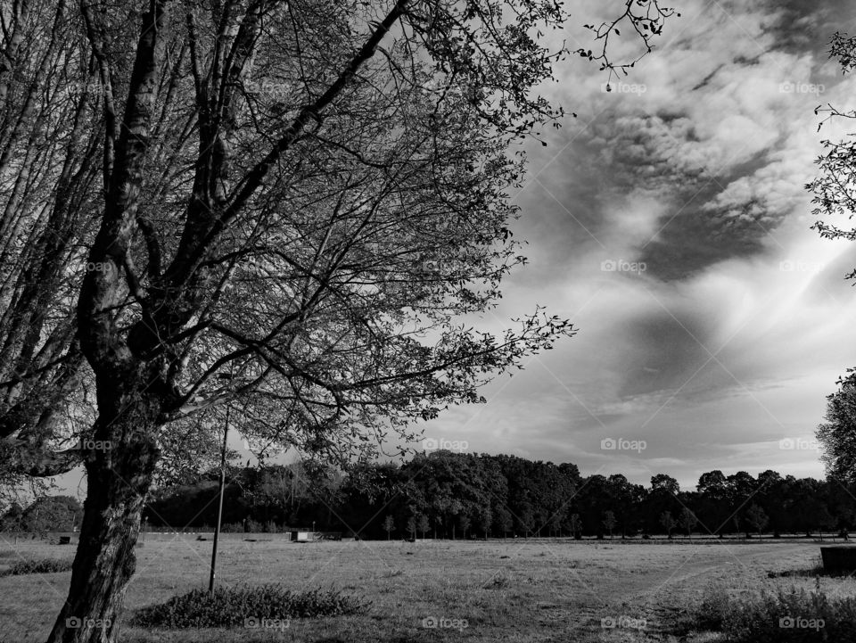 Landscape in monochrome