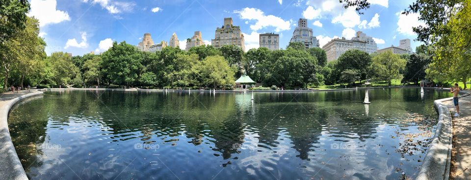 pond in the central park