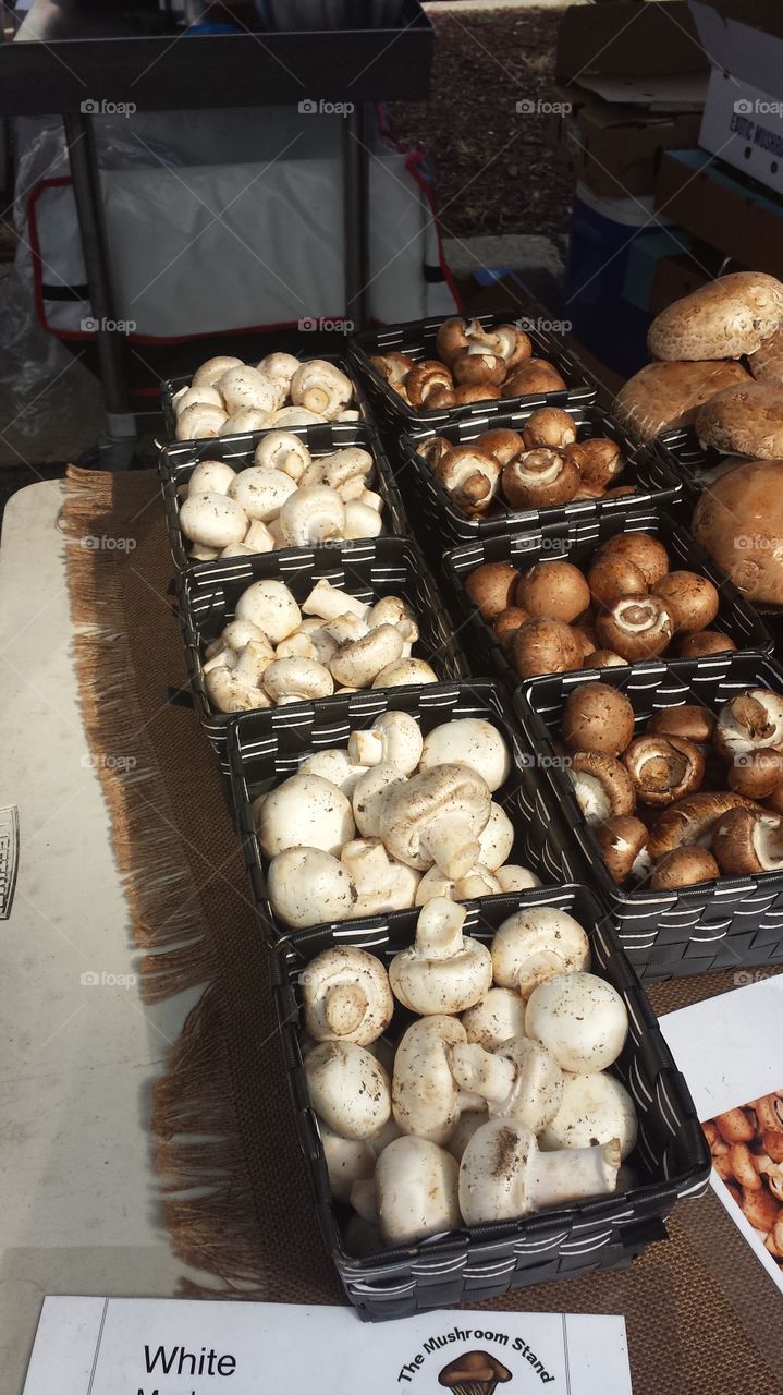 Farmers market. Beautiful Mushrooms