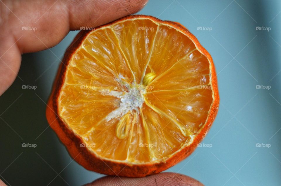 squeezed in the fingers of a dried lemon with stones on a blue background