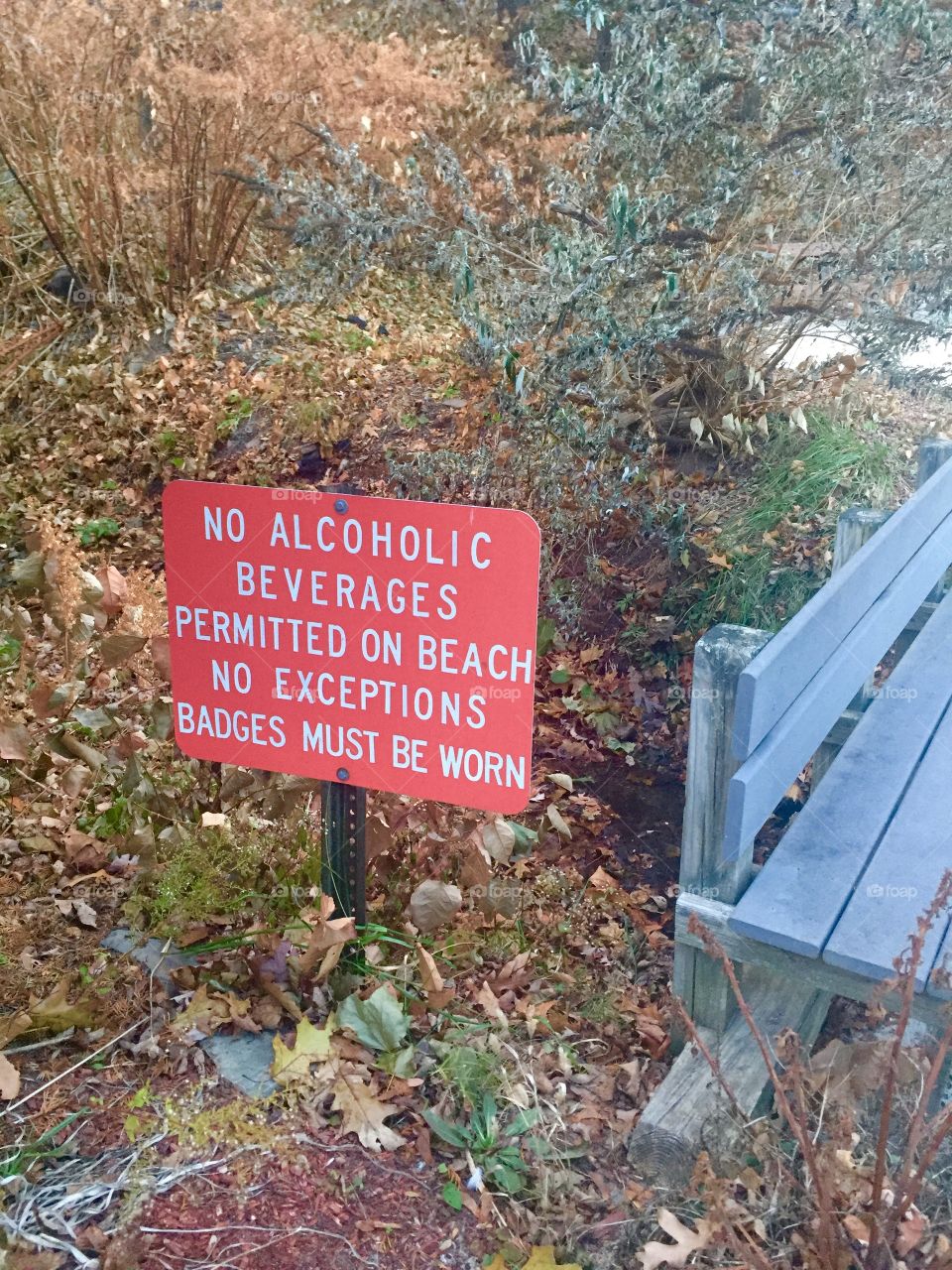 No Alcohol Sign in the woods! 
