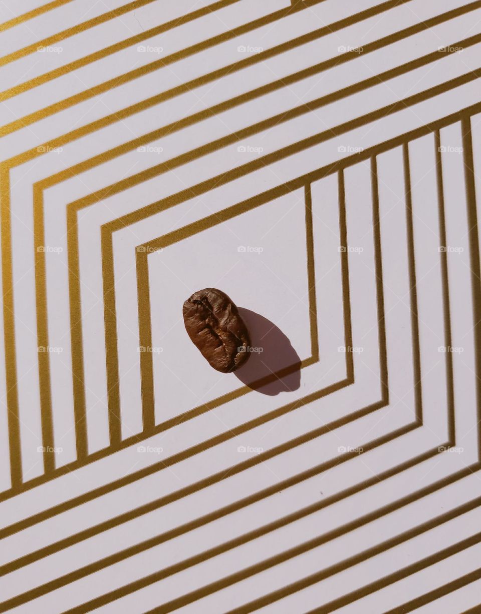 Creative flatlay of a singular coffee bean half on a white surface with golden lines.