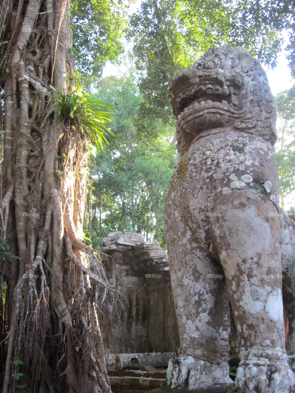cambodia siem reap singha angkor thom by samyen