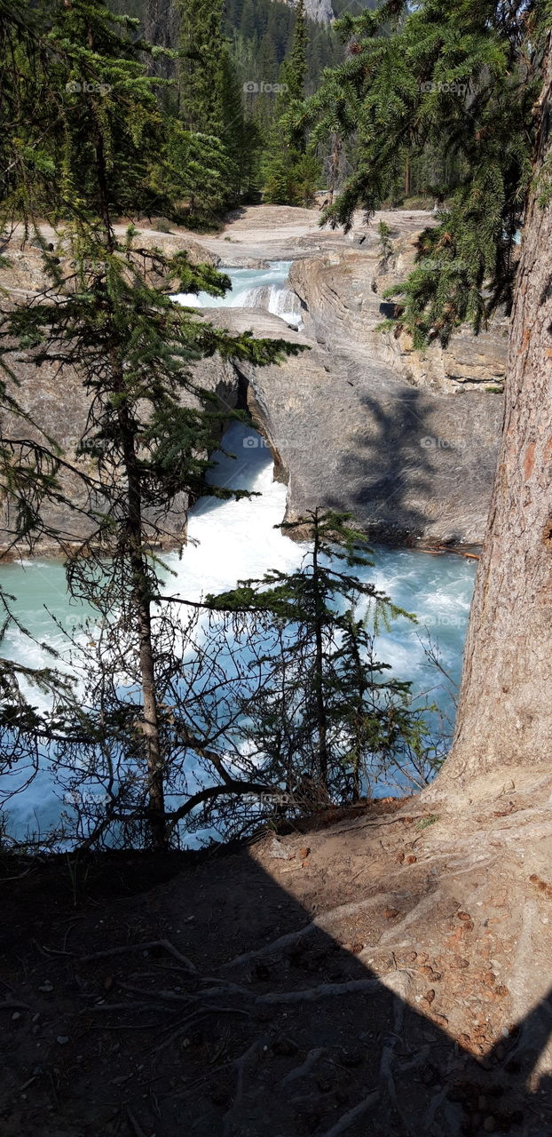 natural bridge in yoho park Canada