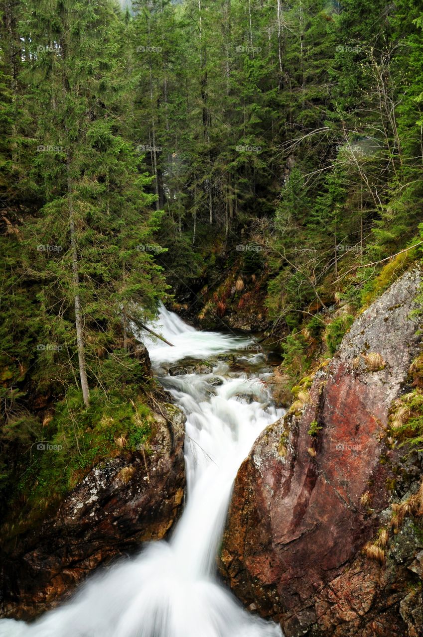 Waterfall in forest