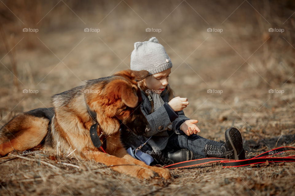 Little girl with German shepherd young male dog walking outdoor at spring day