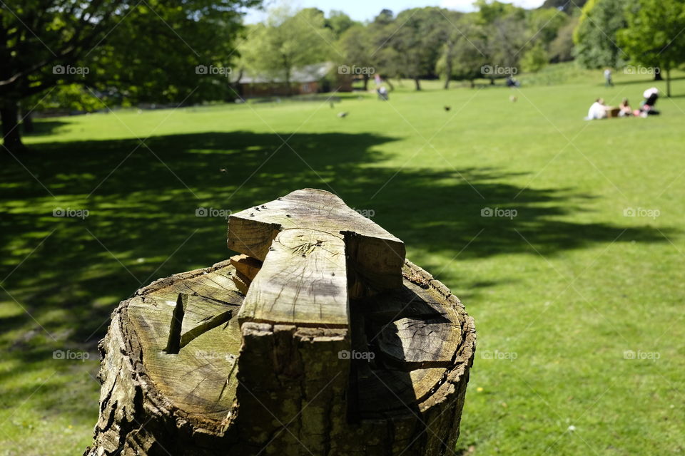 Walking around Brownsea Island when I saw this arrow. Only go forward!
