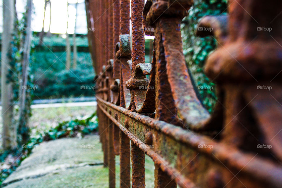 old rusty fence on the background of a stone wall with ivy