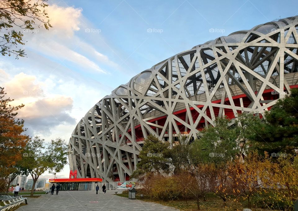 birds nest olympic sports stadium