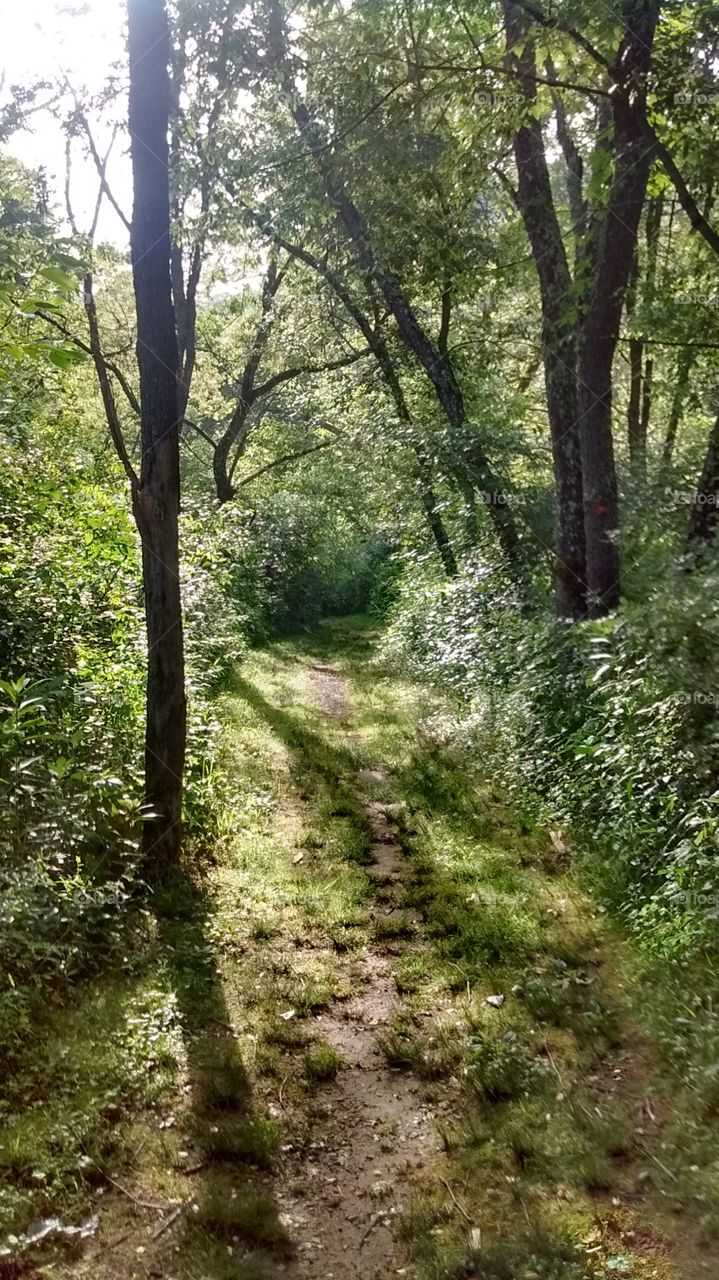 river trail