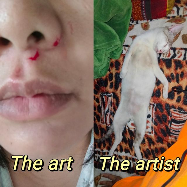 This is art from my cat.