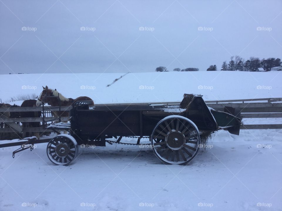 Amish wagon 