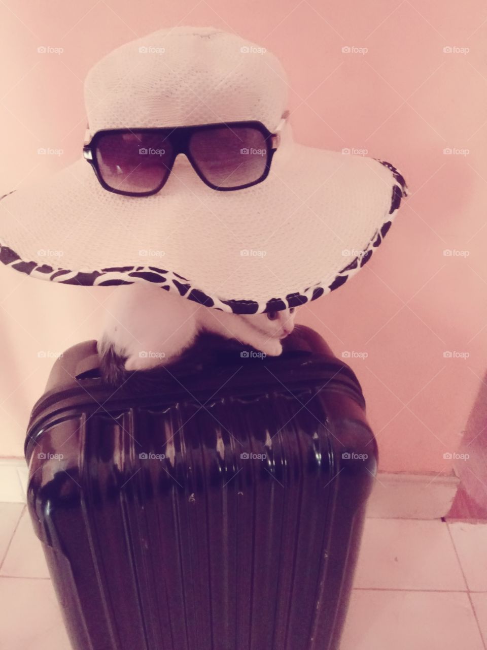 suitcase for holiday