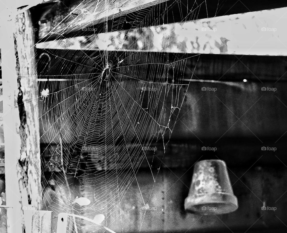 Spiderweb in the barn. The black and white tone really help to show the webs structure. Perfect for Halloween time!