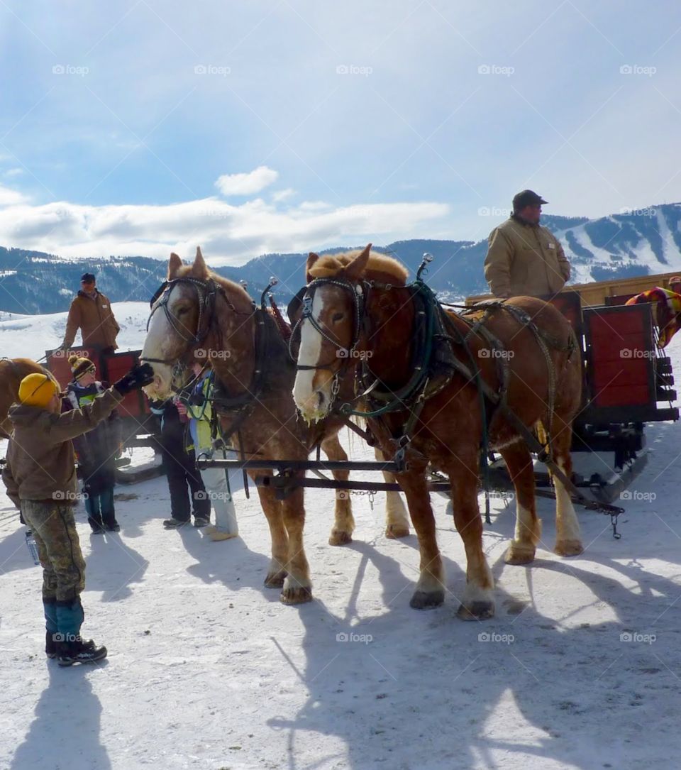 Waiting Patiently for the Next Tour to Begin