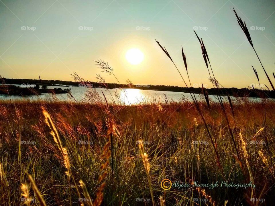 Beautiful Autumn evening by the lake "Color Me Fall" wild grass covered hills.